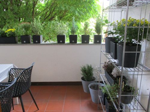 Loggia-kl